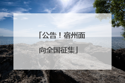 公告！宿州面向全国征集